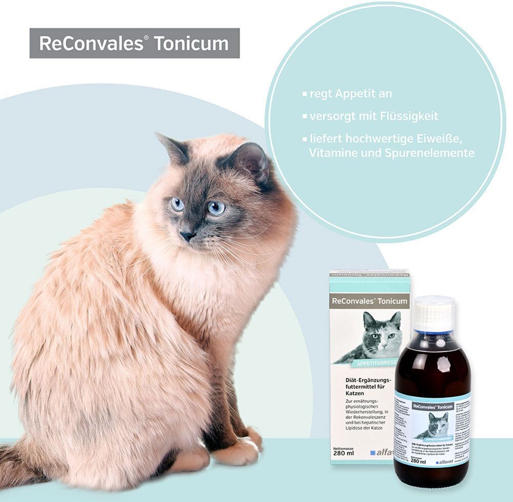 Reconvales Tonicum für Katzen 1x280 ml Tonikum