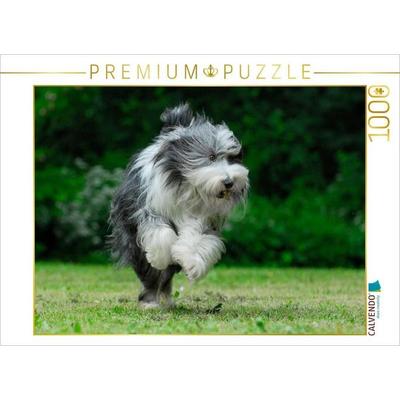 CALVENDO Puzzle Rennender Bearded Collie | 1000 Teile Lege-Größe 64x48cm Foto-Puzzle für glückliche Stunden