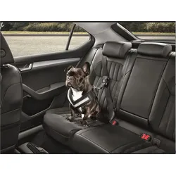 Original Skoda Hundeschutzgurt Größe M - mittelgroße Hunde