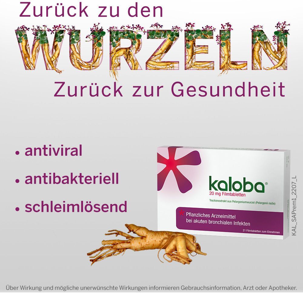 Kaloba® 20 mg Filmtabletten 42 St 42 St Filmtabletten