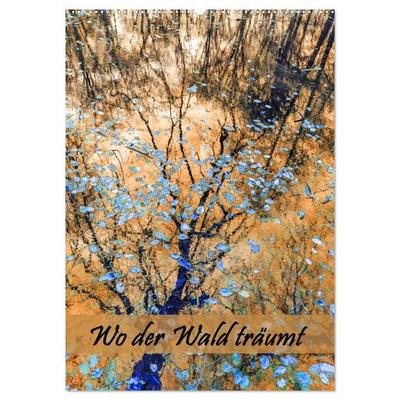 Wo der Wald träumt (Wandkalender 2026 DIN A2 hoch), CALVENDO Monatskalender