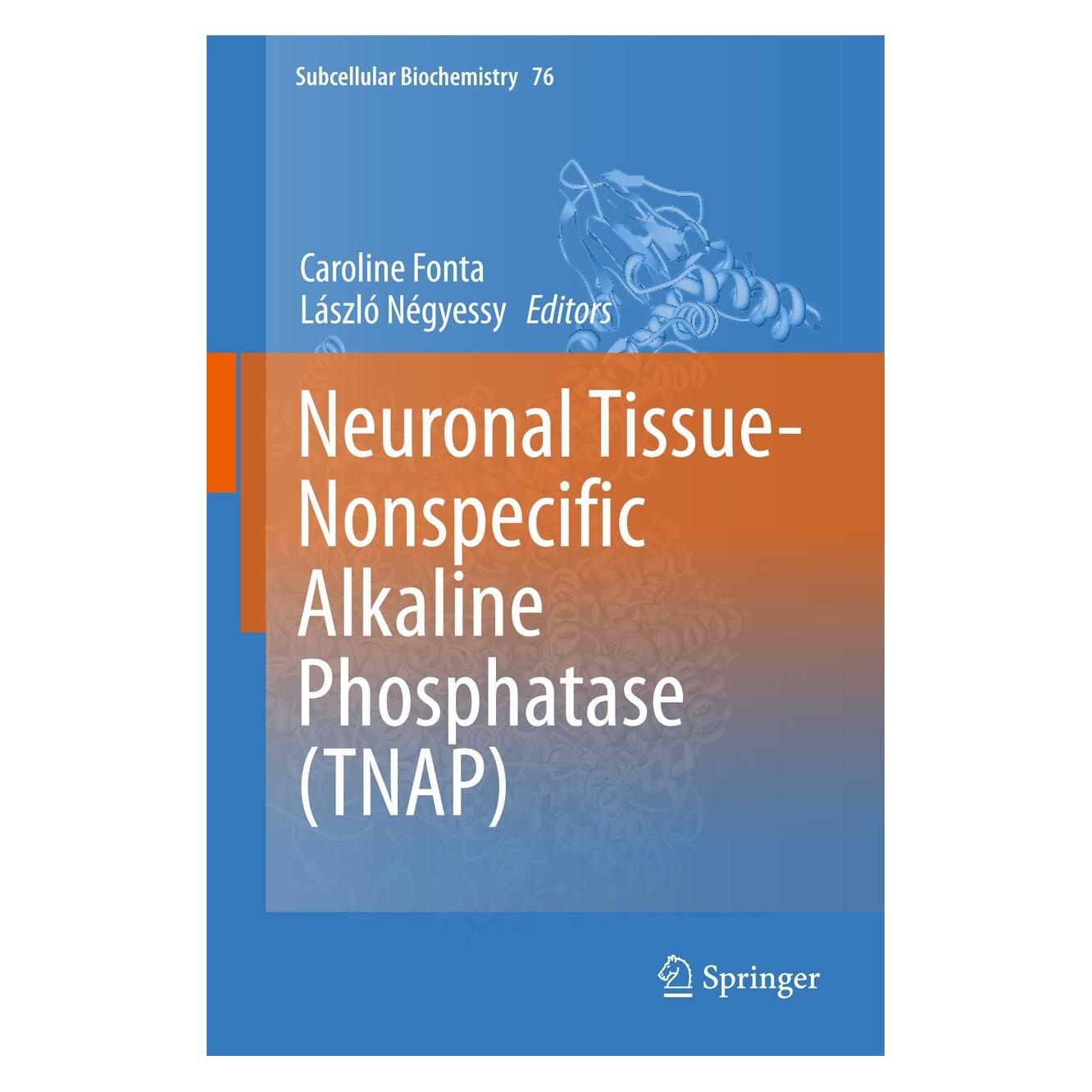 Springer Neuronal Tissue-Nonspecific Alkaline Phosphatase (TNAP) (Englisch, Hardcover, Caroline Fonta, László Négyessy) (9789401771962)