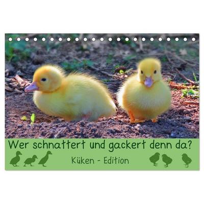 Wer schnattert und gackert denn da? - Küken-Edition (Tischkalender 2026 DIN A5 quer), CALVENDO Monatskalender