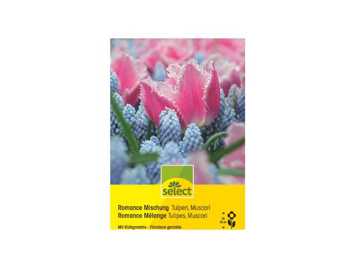 Select Blumenzwiebel Romance Mischung