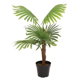 EUROPALMS Fächerpalme, Kunstpflanze, 88cm