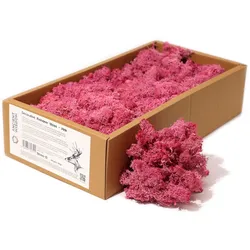Quality Decoration Reindeer Moss - Pink - 635g Box