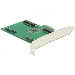 Delock PCI Express Karte zu 2 x intern mSATA
