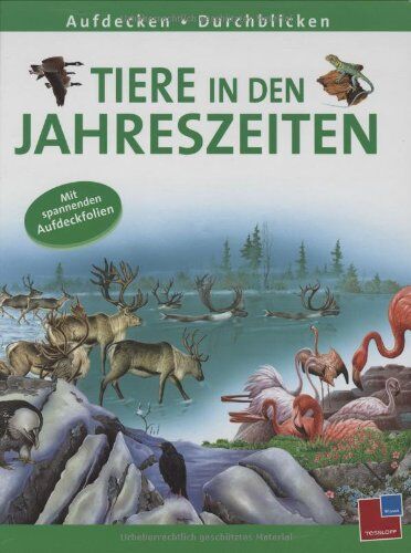 Annie Jones - Aufdecken - Durchblicken. Tiere in den Jahreszeiten: Mit spannenden Aufdeckfolien - Preis vom 09.10.2026 07:28:09 h