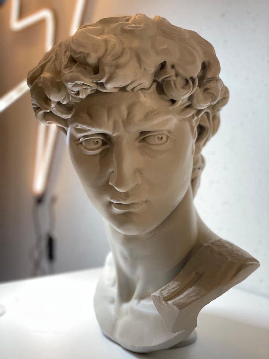 Sculptuur David Michelangelo Decoratie 40cm | 3D Renaissance Sculptuur | Moderne Woondecoratie en Kunst voor Buiten
