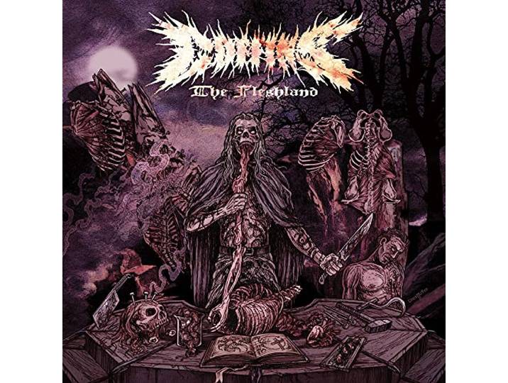 Coffins - The Fleshland