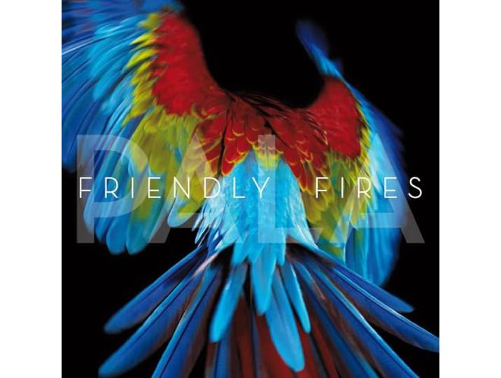 Friendly Fires - Pala