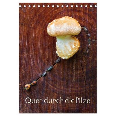 Quer durch die Pilze (Tischkalender 2027 DIN A5 hoch), CALVENDO Monatskalender