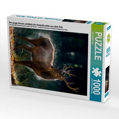 CALVENDO Puzzle Der junge Hirsch schüttelt die Herbstfeuchte aus dem Fell. | 1000 Teile Lege-Größe 64x48cm Foto-Puzzle für glückliche Stunden