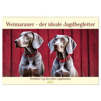 Weimaraner - der ideale Jagdbegleiter (Wandkalender 2027 DIN A2 quer), CALVENDO Monatskalender
