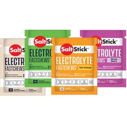 SaltStick Unisex FastChews Testpaket (4 x 10 Tabs)