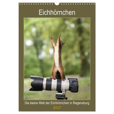 Die kleine Welt der Eichhörnchen in Regensburg (Wandkalender 2027 DIN A3 hoch), CALVENDO Monatskalender