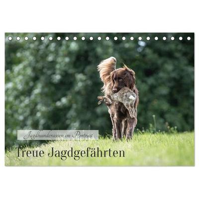Treue Jagdgefährten - Jagdhunderassen im Portrait (Tischkalender 2026 DIN A5 quer), CALVENDO Monatskalender