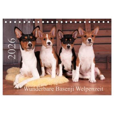 Wunderbare Basenji Welpenzeit (Tischkalender 2026 DIN A5 quer), CALVENDO Monatskalender