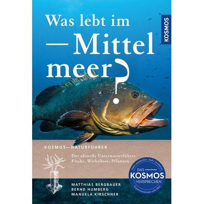 Was lebt im Mittelmeer?, Taschenbuch von Matthias Bergbauer,Bernd Humberg,Manuela Kirschner, Kosmos, 978-3-440-18464-6