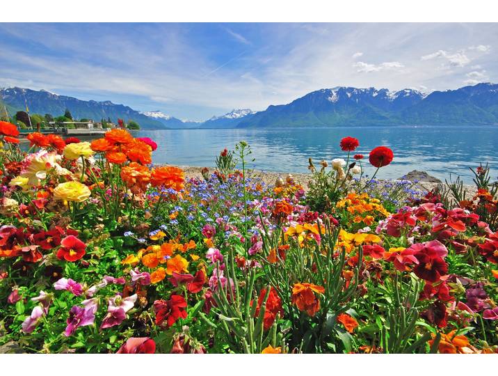 Fototapete PAPERMOON BLUMEN-DESIGN NATUR LANDSCHAFT GEBIRGE BERGE ALPEN SEE , bunt, B:2,5m L:1,86m, Vlies, Tapeten, Fototapete