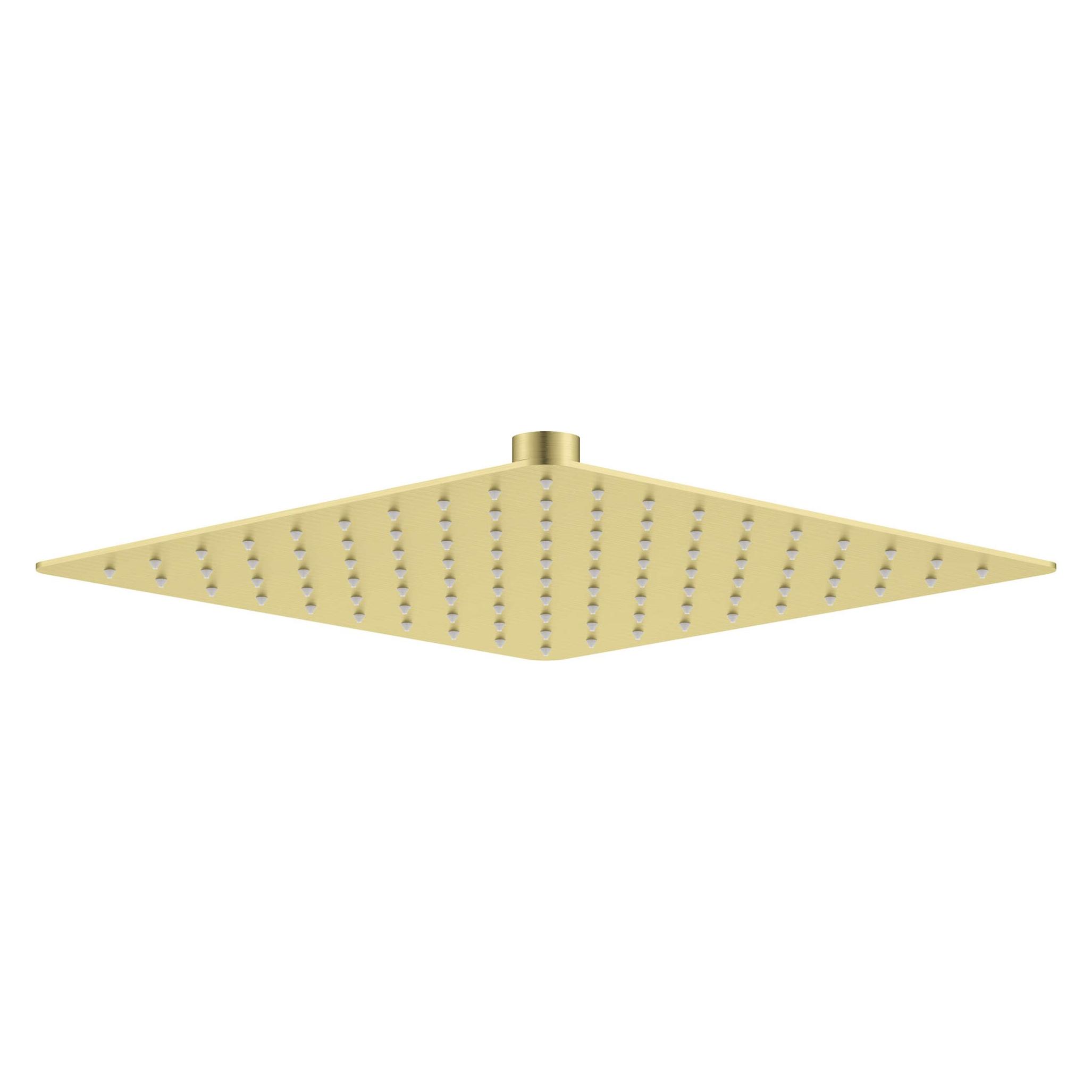 Deante Głowica prysznicowa stalowa - 250x250 mm (NAC_R02K)