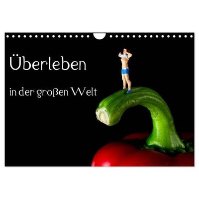 Überleben in der großen Welt - HO Figuren (Wandkalender 2027 DIN A4 quer), CALVENDO Monatskalender