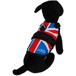 Avant Garde British (S, Hund), Halsband + Leine
