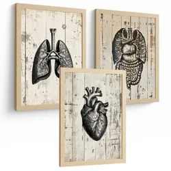 POSTER Set aus 3 Anatomie Mensch Drucke und Wandbilder mit Lungen Darm und Herz Rustikaler Stil Medizinische Wanddekoration Größe Rahmenlos A4