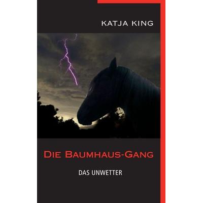 Die Baumhaus-Gang - Das Unwetter, Taschenbuch von Katja King, BoD – Books on Demand, 978-3-8448-3117-7