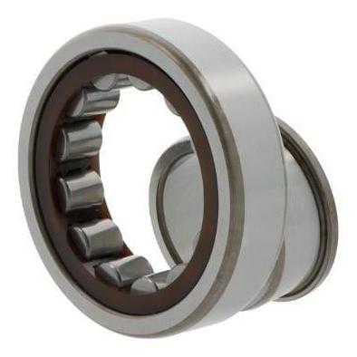 SKF Zylinderrollenlager (NJ 304 ECP 7316577029058)