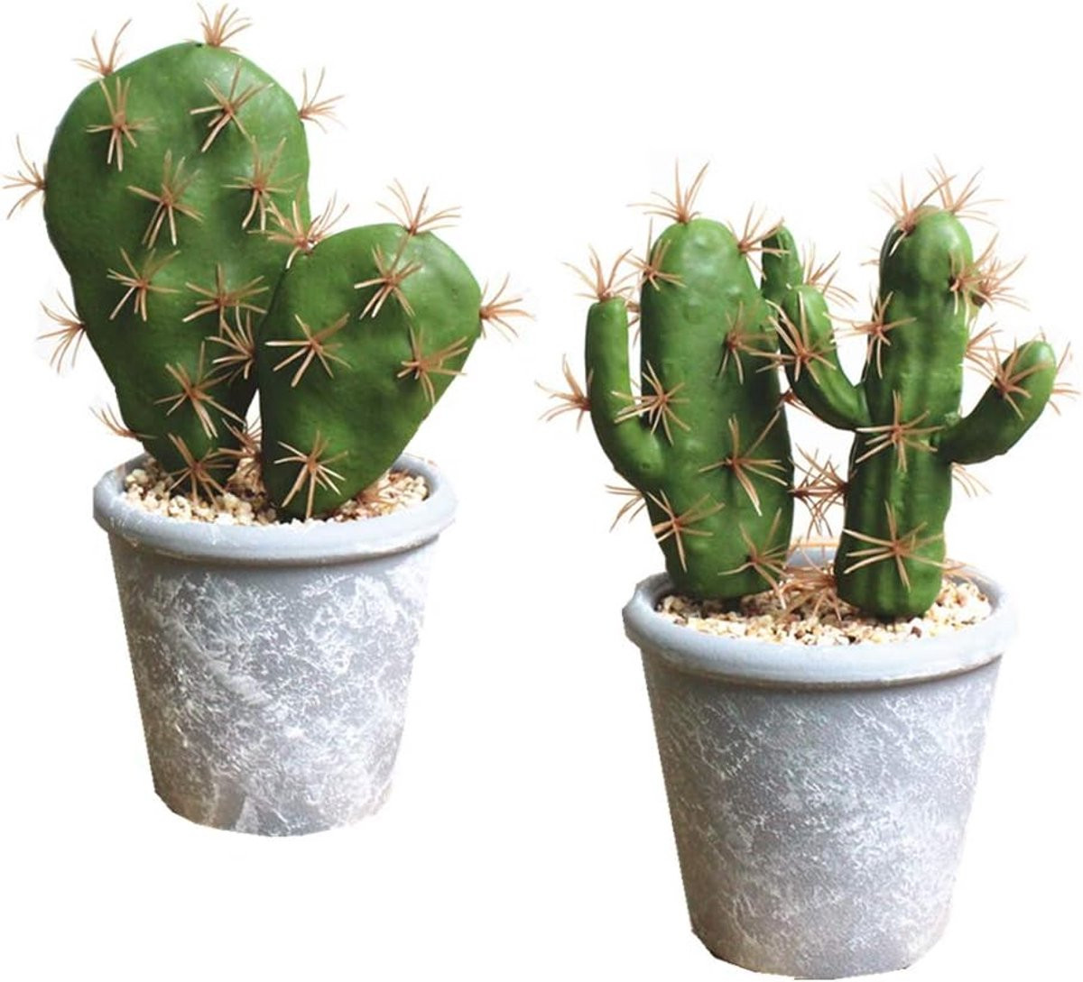 Allecto Kunstmatige Vetplanten Succulenten in Pot voor Huisdecoratie