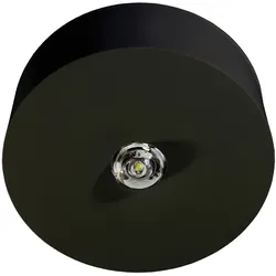 RP-Technik Sicherheitsleuchte ILDL529CC-SW