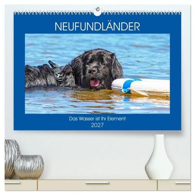 Neufundländer - Das Wasser ist ihr Element (hochwertiger Premium Wandkalender 2027 DIN A2 quer), Kunstdruck in Hochglanz