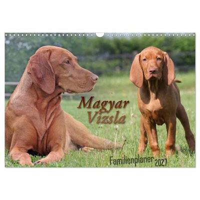 Familienplaner - Magyar Vizsla (Wandkalender 2027 DIN A3 quer), CALVENDO Monatskalender