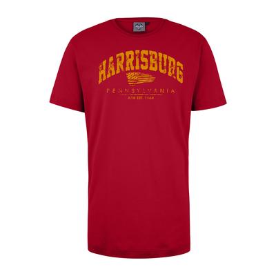 T-Shirt AHORN SPORTSWEAR "HARRISBURG", Herren, Gr. 3XL, rot, 100% Baumwolle, bedruckt, normal, Rundhals, Shirts T-Shirt, mit sportlichem Print