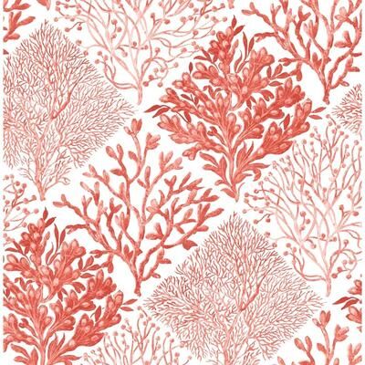 NextWall Seaweed Peel and Stick Wallpaper