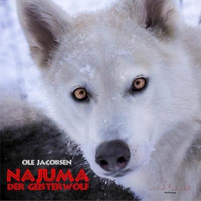 Najuma, der Geisterwolf - Ole Jacobsen, Audio, 9783947853335
