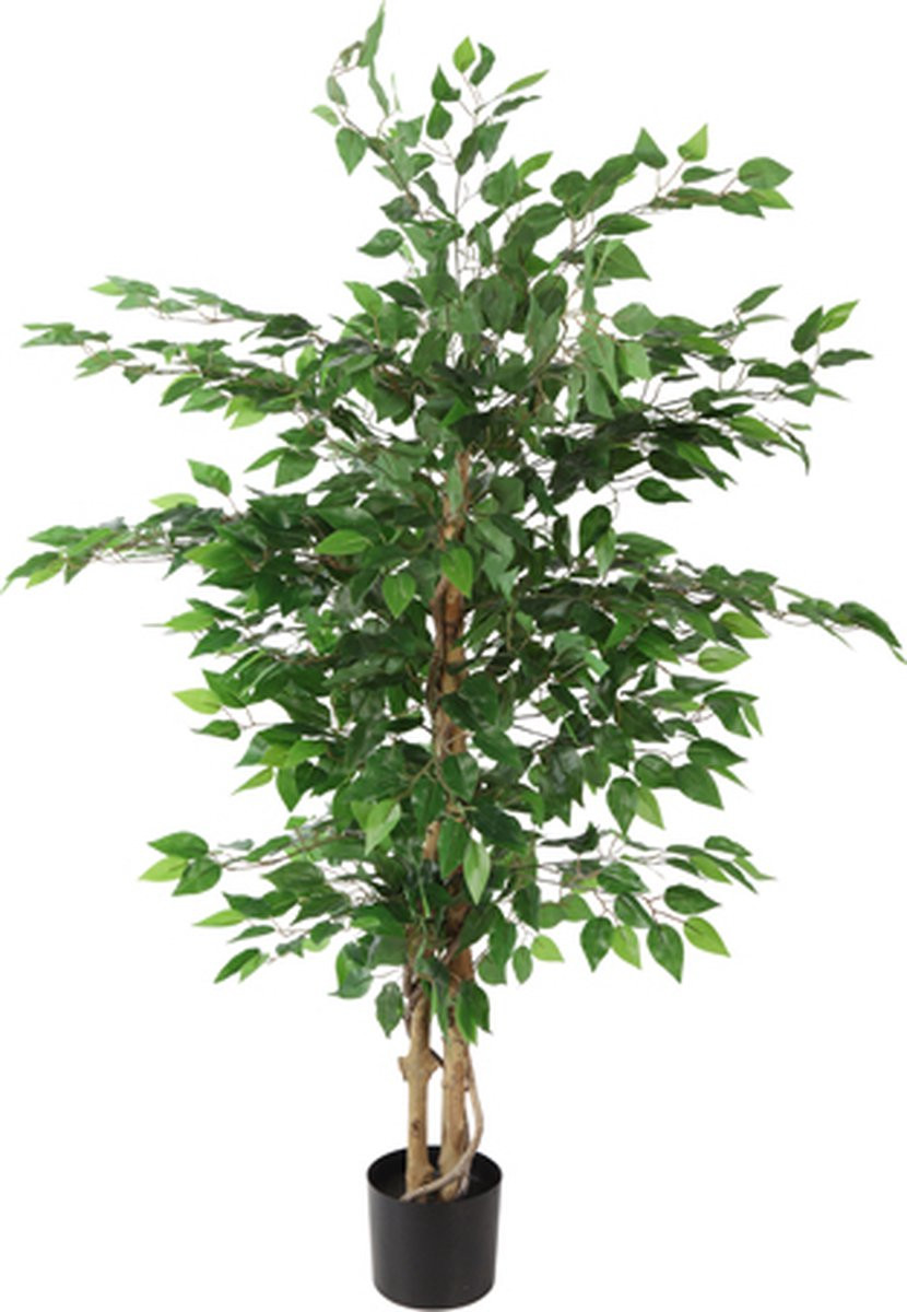 Countryfield Ficus benjamina kunstplant in een pot