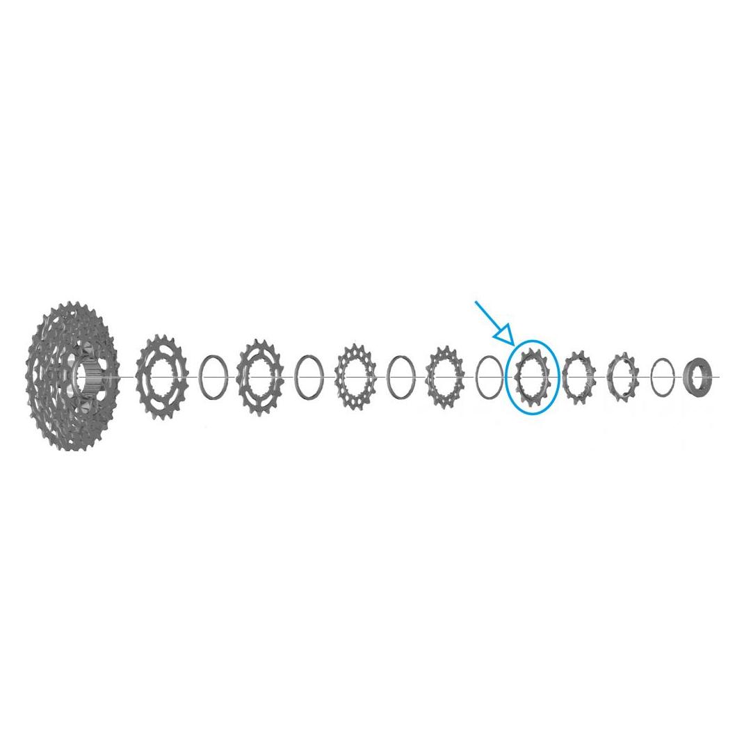 Shimano Ritzel (13) (Y0RR9803T)