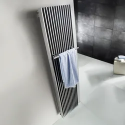 HSK Design-Heizkörper „Sky“ 29,5 × 180 cm in Anthrazit