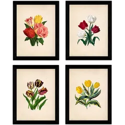 POSTER Set mit 4 Botanische Papier Hintergrund Tulpen A3 Rahmenlos