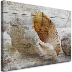 WANDBILD muscheln vintage stil