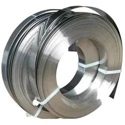 Sst, Schlauchanschluss + Schlauchverbinder, Endlosband Edelstahl V2A 12,7 mm