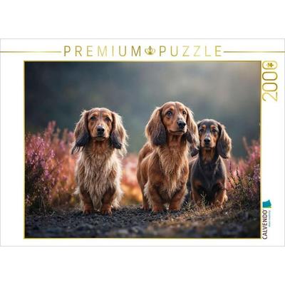 CALVENDO Puzzle Kurze Beine. Braune Augen. Zum Verlieben | 2000 Teile Lege-Größe 90x67cm Foto-Puzzle für glückliche Stunden, Sonstige von , Calvendo