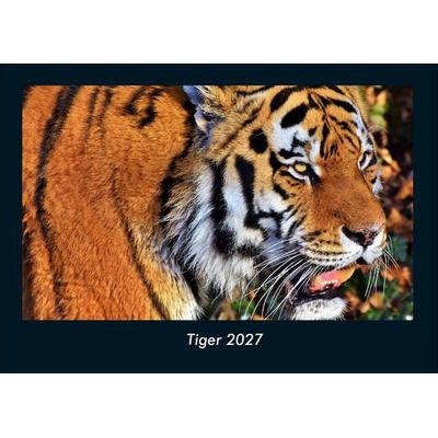 Tiger 2027 Fotokalender DIN A4