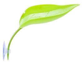 Uplifted Finds "Amphibian ""Basking Leaf"" Habitat Terrace light Green"
