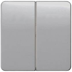 Siemens Schalterprogramm 2fach Abdeckung Wippe Silber 5TG7925 1 St.