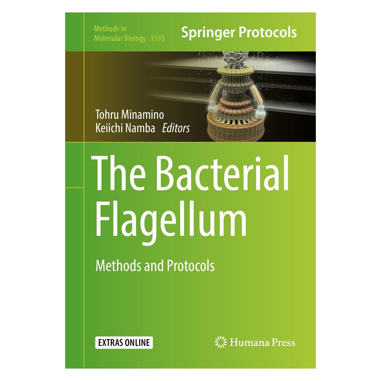 Springer The Bacterial Flagellum (9781493969265)