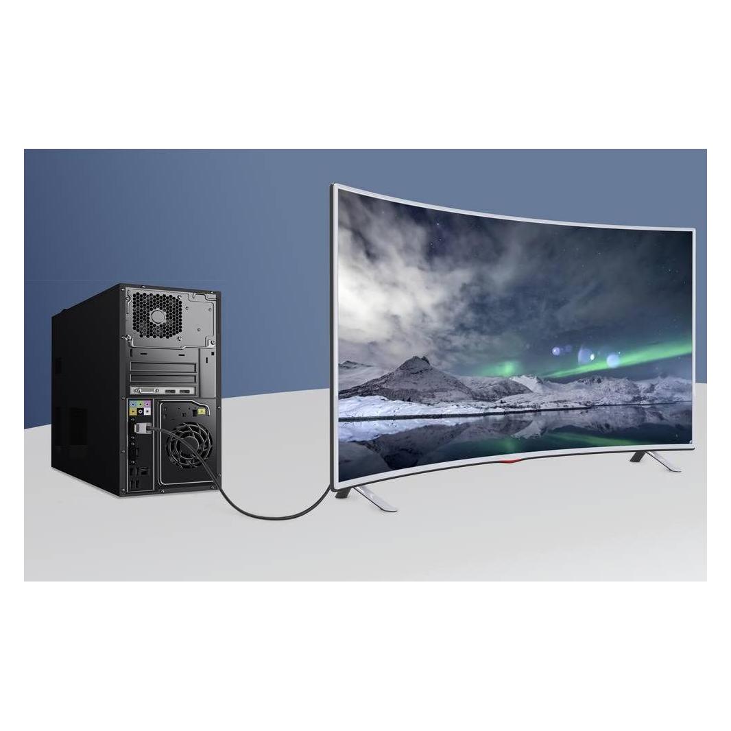 Renkforce RF-4995158 DisplayPort Kabel (1x DisplayPort Stecker - 1x HDMI-Stecker) Schwarz Aluminium (3 m) (RF-4995158)