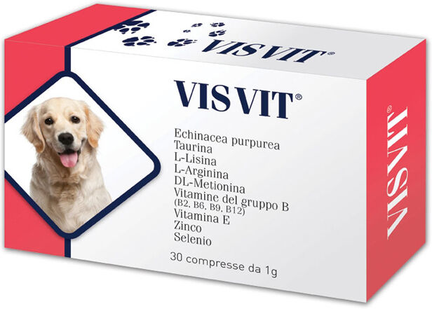 Visvit 30 Capsule 1G